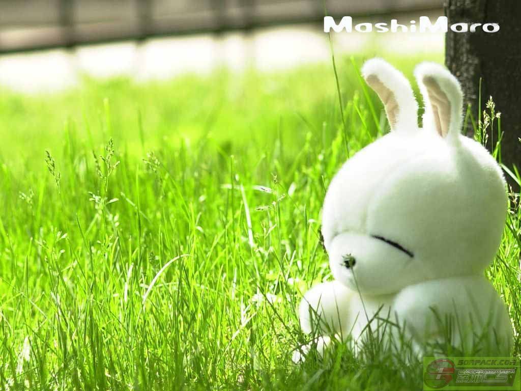 ͼƬ´ڴ򿪲鿴