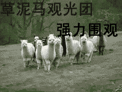 ͼƬ´ڴ򿪲鿴