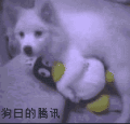 ͼƬ´ڴ򿪲鿴