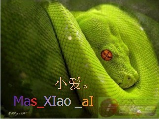 ͼƬ´ڴ򿪲鿴