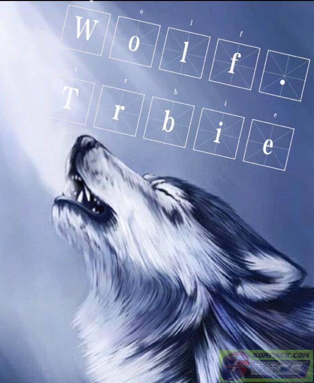 ͼƬ´ڴ򿪲鿴