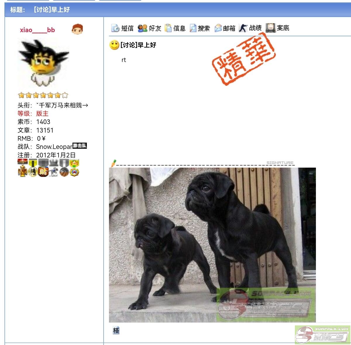 dvubb 图片点击可在新窗口打开查看