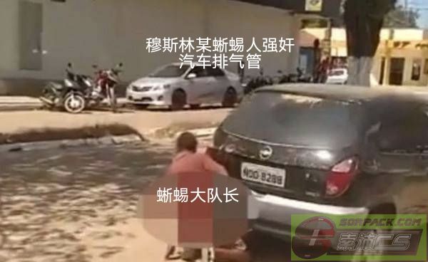 dvubb 图片点击可在新窗口打开查看
